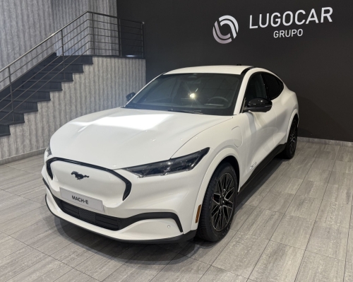 FORD MUSTANG MATCH E